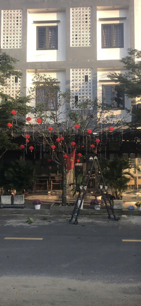 📰 Trang Trí Điện Cho Cây Trưng Tết Tại Đà Nẵng