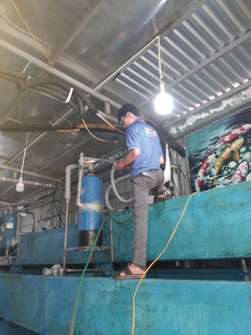 🐟 Thi Công Hệ Thống Nước Bể Cá Chuyên Nghiệp Tại Đà Nẵng